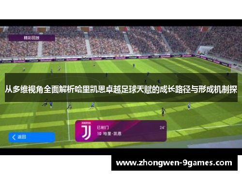 从多维视角全面解析哈里凯恩卓越足球天赋的成长路径与形成机制探 从多维视角全面解析哈里凯恩卓越足球天赋的成长路径与形成机制探